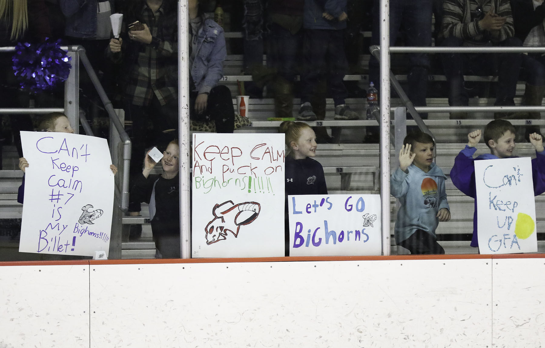 Helena Bighorns
